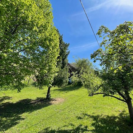 Ferienhuette Bosic Villa Baierdorf Exterior foto