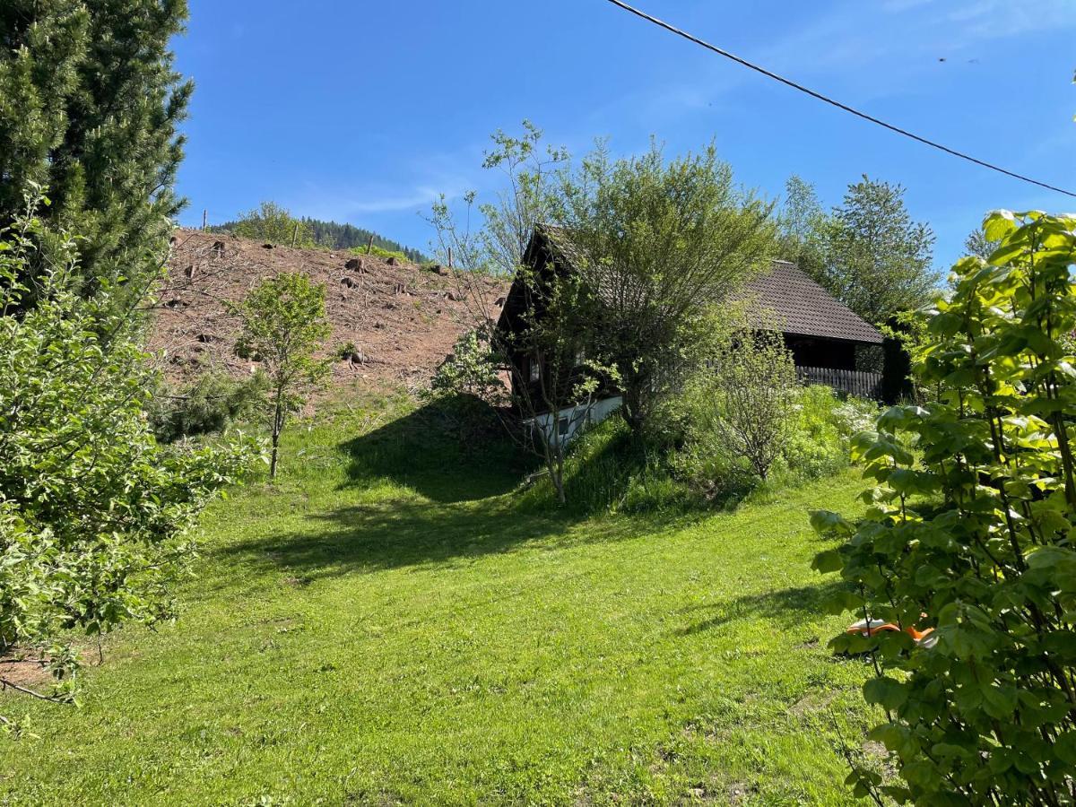 Ferienhuette Bosic Villa Baierdorf Exterior foto